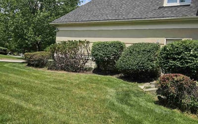 Photo of Rodney A.'s yard after getting lawn care in Jacksonville, FL