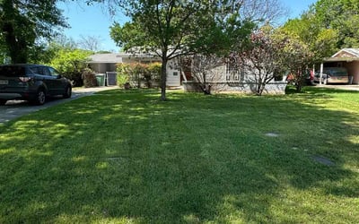 Photo of Maria R.'s yard after getting lawn care in Roanoke, VA