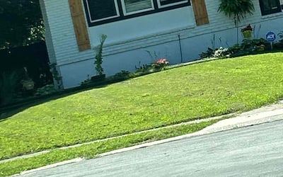 Photo of James W.'s yard after getting lawn care in Decatur, GA