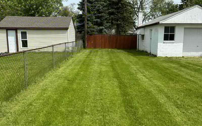 Photo of Jennifer D.'s yard after getting lawn care in Chesterfield, MI