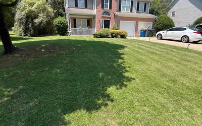 Photo of Claudy F.'s yard after getting lawn care in Kennesaw, GA