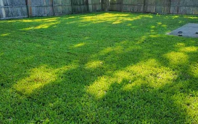 Photo of Wallace T.'s yard after getting lawn care in Green Cove Springs, FL