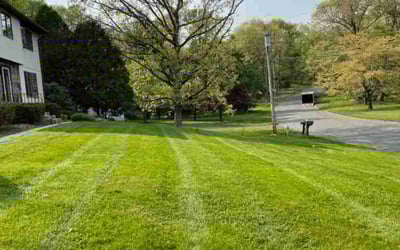 Photo of Fatih O.'s yard after getting lawn care in Vernon Rockville, CT