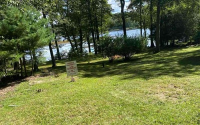 Photo of Manuel C.'s yard after getting lawn care in Norwalk, CA