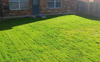 Photo of Jazmin M.'s yard after getting lawn care in Naples, FL