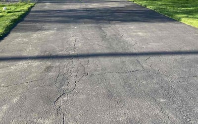 Photo of Mel S.'s yard after getting lawn care in Cheektowaga, NY