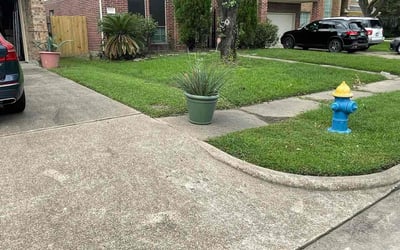 Photo of Reagan B.'s yard after getting lawn care in Riverside, CA