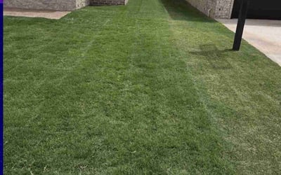 Photo of Craig D.'s yard after getting lawn care in Imperial, PA