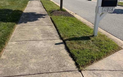 Photo of Ashley B.'s yard after getting lawn care in Godfrey, IL
