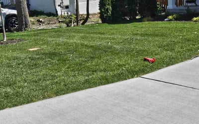 Photo of Austin B.'s yard after getting lawn care in Bellefontaine Neighbors, MO