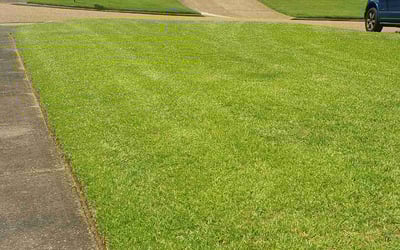 Photo of Jazmine S.'s yard after getting lawn care in Montgomery, AL