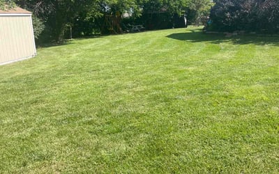 Photo of Lakeisha A.'s yard after getting lawn care in Frankfort, IL
