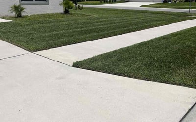 Photo of Cheryl S.'s yard after getting lawn care in Howard Beach, NY