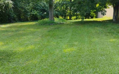 Photo of Lindsey M.'s yard after getting lawn care in Oshkosh, WI