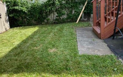 Photo of Liz R.'s yard after getting lawn care in Rahway, NJ
