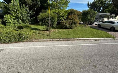 Photo of Neil P.'s yard after getting lawn care in Washington, MO