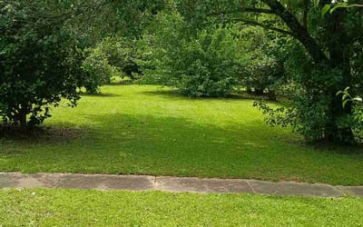 Photo of Joanna W.'s yard after getting lawn care in Hillsboro, OR