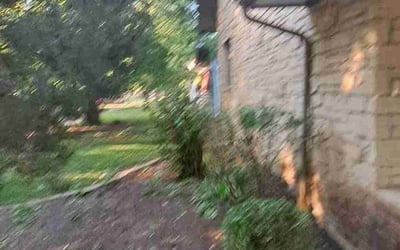 Photo of Gregg G.'s yard after getting lawn care in Elk River, MN