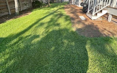 Photo of Jessica M.'s yard after getting lawn care in Santa Rosa Beach, FL