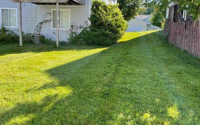 Photo of Micah B.'s yard after getting lawn care in Lowell, MI
