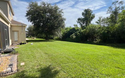 Photo of Sean O.'s yard after getting lawn care in St. Louis, MO