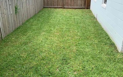 Photo of Gale J.'s yard after getting tree care in Bellevue, WA