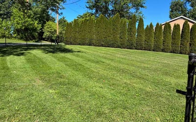 Photo of Abhinav T.'s yard after getting lawn care in Boston, MA