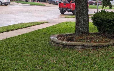 Photo of Brenda E.'s yard after getting lawn care in Summerville, SC