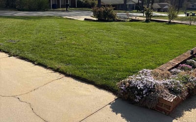 Photo of Jeff M.'s yard after getting lawn care in Weaverville, NC