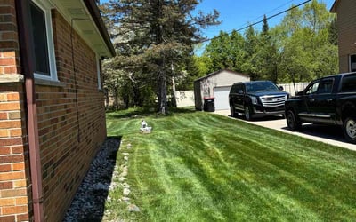 Photo of Taylor H.'s yard after getting lawn care in Southfield, MI