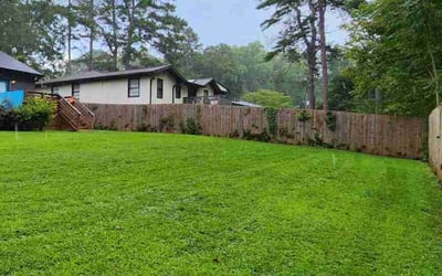 Photo of Joseph U.'s yard after getting lawn care in Sparks, NV