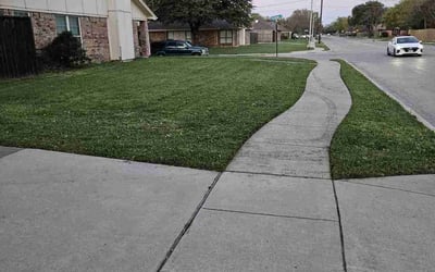 Photo of Tina D.'s yard after getting lawn care in Far Rockaway, NY