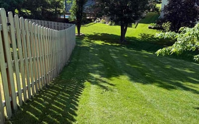 Photo of Deb H.'s yard after getting lawn care in Jacksonville, FL