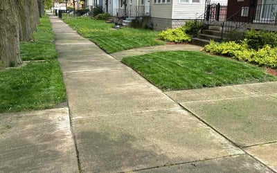 Photo of Tristen B.'s yard after getting lawn care in Moreno Valley, CA