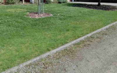 Photo of Erin S.'s yard after getting lawn care in Jeannette, PA