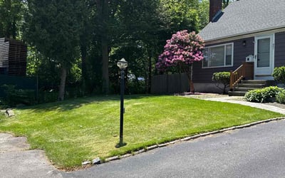 Photo of Annette H.'s yard after getting lawn care in Allentown, PA