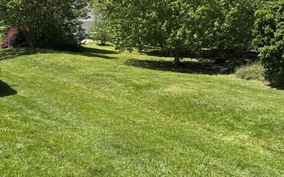 Photo of Nancy H.'s yard after getting lawn care in Asheboro, NC