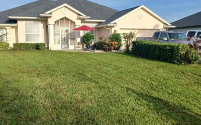 Photo of John B.'s yard after getting lawn care in Oak Forest, IL