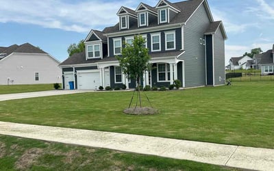Photo of Steven F.'s yard after getting lawn care in Orlando, FL