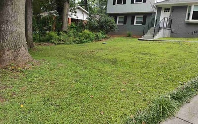 Photo of Lindsay T.'s yard after getting lawn care in Canastota, NY