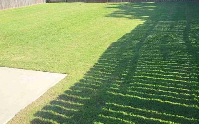 Photo of Madeline K.'s yard after getting lawn care in Lititz, PA