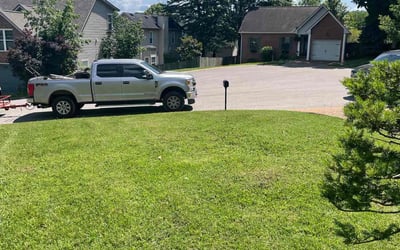 Photo of Penelope B.'s yard after getting lawn care in Mount Pleasant, TN