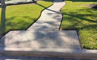 Photo of Laela R.'s yard after getting lawn care in Dayton, TX