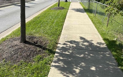 Photo of Sara K.'s yard after getting lawn care in Franklin, IN