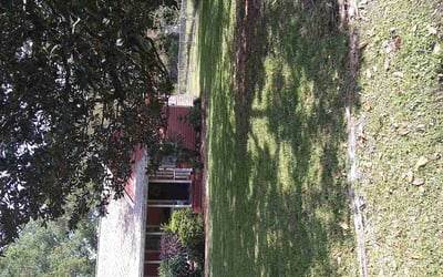 Photo of Andrea C.'s yard after getting lawn care in Jacksonville, FL