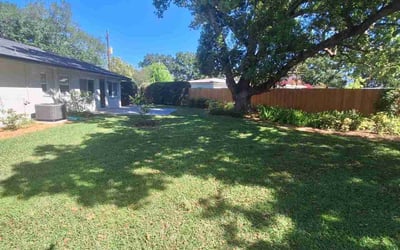 Photo of tim w.'s yard after getting lawn care in Delano, CA
