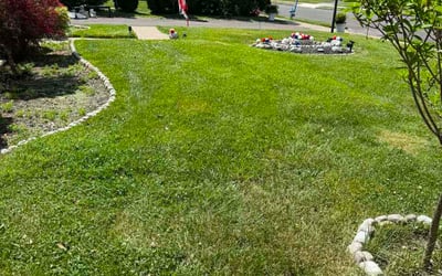Photo of Brian M.'s yard after getting lawn care in Troy, OH