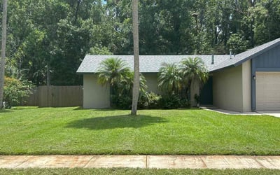 Photo of Deidre M.'s yard after getting lawn care in Winter Springs, FL