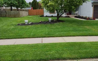 Photo of Laura W.'s yard after getting lawn care in Glassboro, NJ