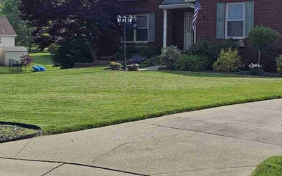 Photo of Rachel M.'s yard after getting lawn care in Atlanta, GA